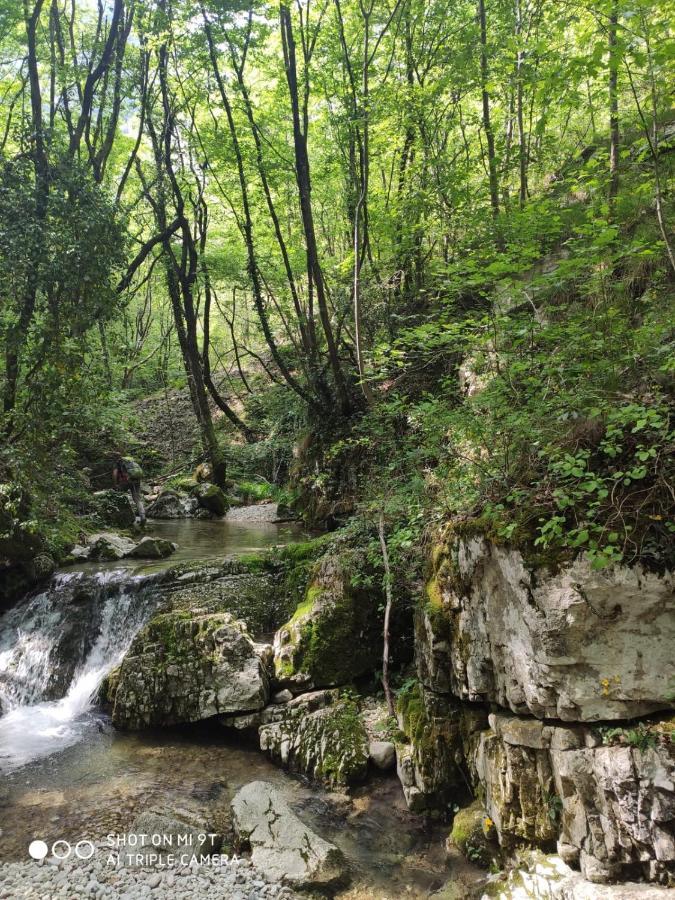 Agriturismo Revena Brentino Belluno Eksteriør bilde