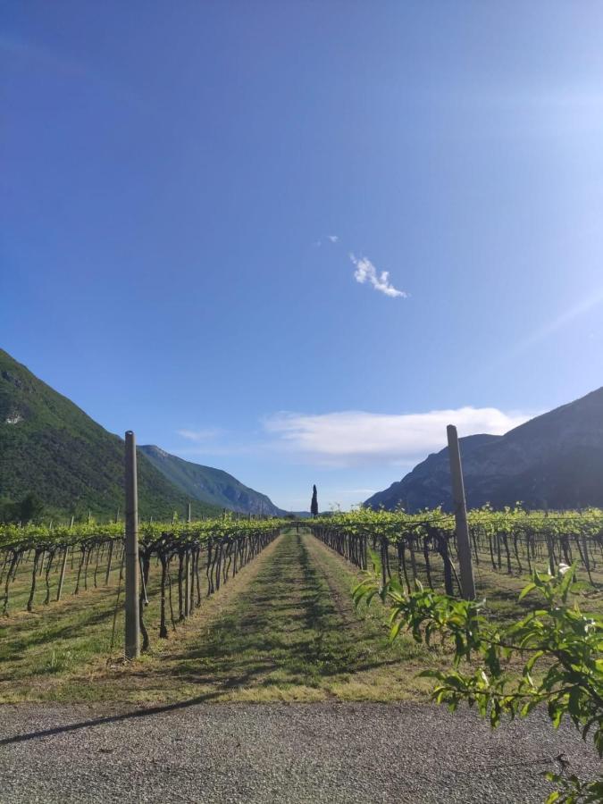 Agriturismo Revena Brentino Belluno Eksteriør bilde