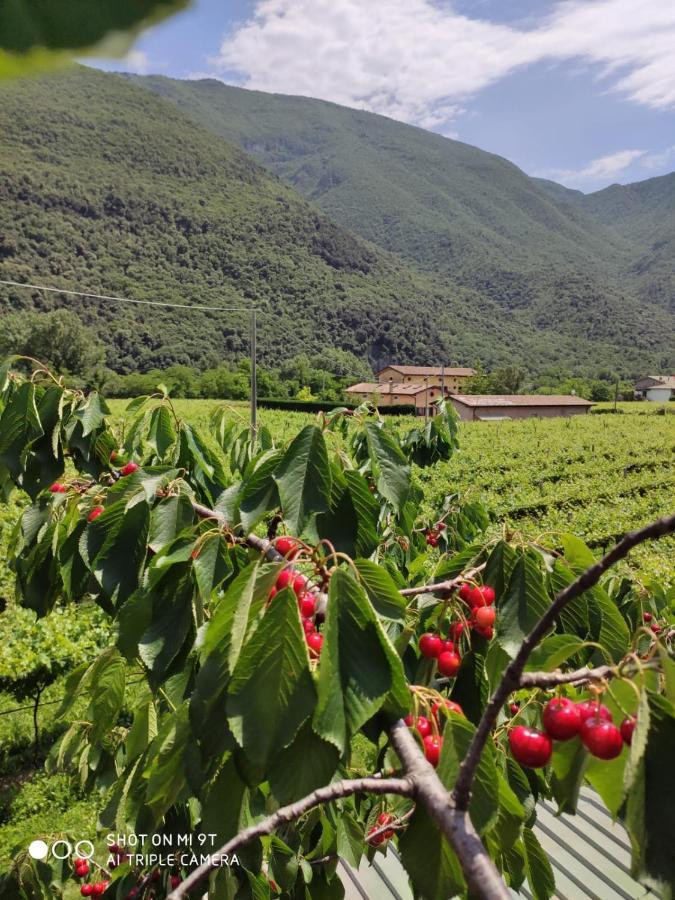 Agriturismo Revena Brentino Belluno Eksteriør bilde